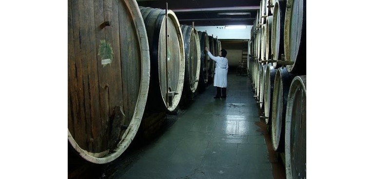 Simferopol winery, фото 1