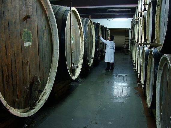 Simferopol winery, фото 1