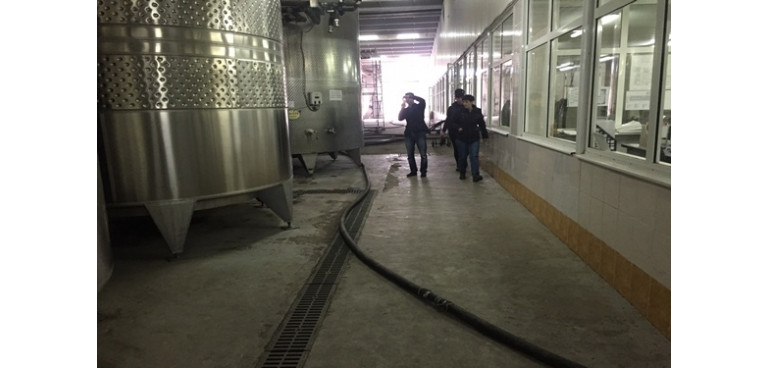 Factory of primary winemaking, фото 4
